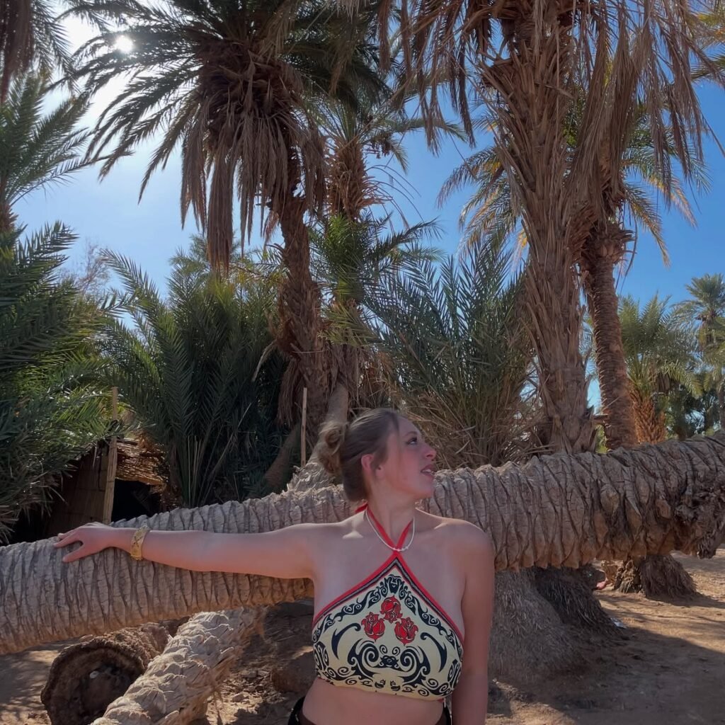Palmeraie lors d’une excursion dans le désert du sud marocain